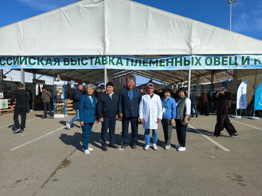 vistavkaovez